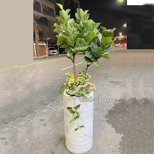 落地型組合盆栽 開幕 店內擺飾盆栽